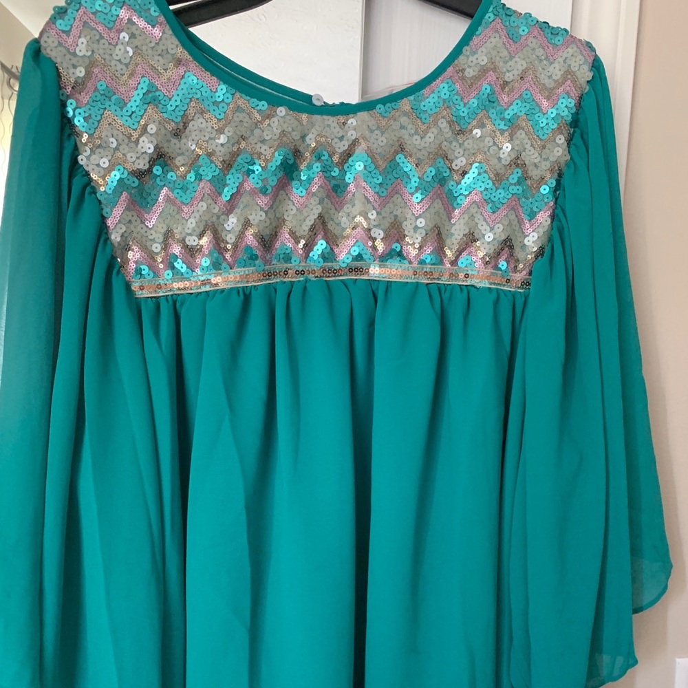 Ladies teal dressy blouse with sequence.